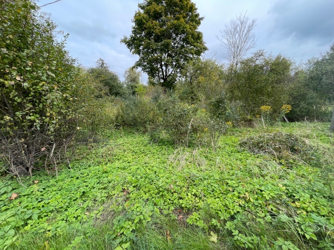 Sludinājumi. Apbūves zeme rūpnieciskās apbūves zonējumā Ropažu novada, Stopiņu novadā Rumbulā.  Saskaņā ar spēkā Cena: 186375 EUR Foto #5