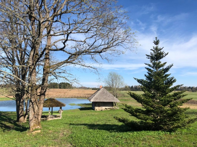 Sludinājumi. Lauku viensēta \'Kalna Alitēni\'.  + Klusā un ainaviska vieta; + divstāvu dzīvojamās mājas ar kopējo Cena: 259000 EUR Foto #9