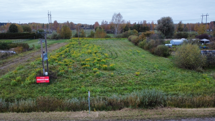 Sludinājumi. Tiek pārdots apbūves zemesgabals (Saldari). Zemes pielietojuma veids (Dzs1) - Savrupmāju apbūves Cena: 12800 EUR Foto #4