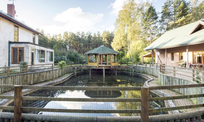 Объявление. Продается недвижимость в Юрмале.  Здания не сданы в эксплуатацию. Недвижимость состоит из двух Цена: 250000 EUR Foto #5