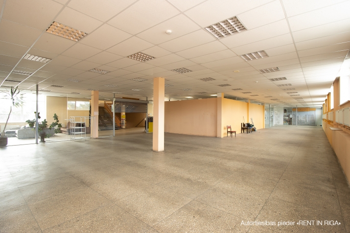 Объявление. T/C \'Liedags\' Slokā, piedāvājam veikala telpas 500 m2 platībā.  Ēkas enkurnomnieks pārtikas veikals Цена: 1551 EUR/мес. Foto #8