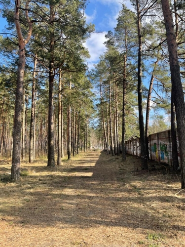 Sludinājumi. Zemes apbūves gabals pēc jaunā attīstības plāna dzīvojamam sektoram līdz 3 stāvu augstumam (JC 1 - Cena: 1.8e+06 EUR Foto #4