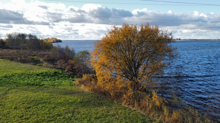 Sludinājumi. Daugavzeme - ekskluzīvs īpašums Daugavas krastā!  Piedāvājumā 2,12 hektāru plašs zemesgabals ar Cena: 230000 EUR Foto #8