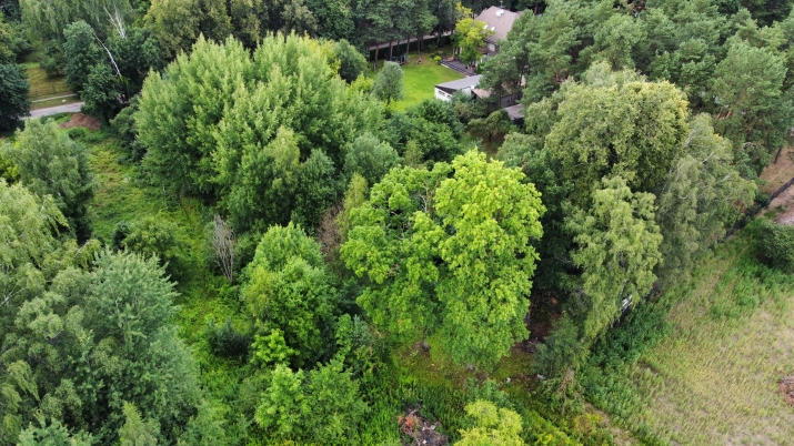 Объявление. Продается земельный участок в Межапарке. Расположенный прямо на проспекте Visbijas, вблизи Цена: 404200 EUR Foto #6