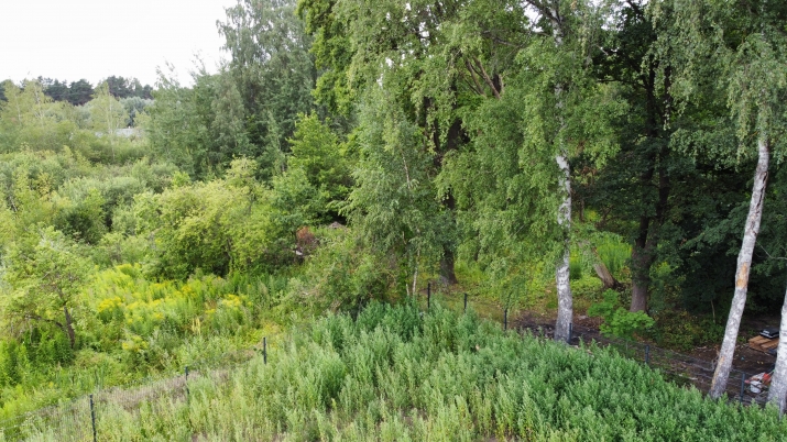 Объявление. Продается земельный участок в Межапарке. Расположенный прямо на проспекте Visbijas, вблизи Цена: 404200 EUR Foto #8