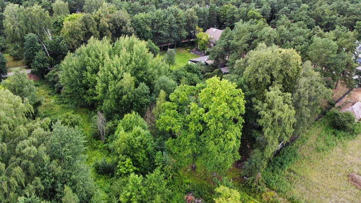 Объявление. Продается земельный участок в Межапарке. Расположенный прямо на проспекте Visbijas, вблизи Цена: 404200 EUR Foto #9