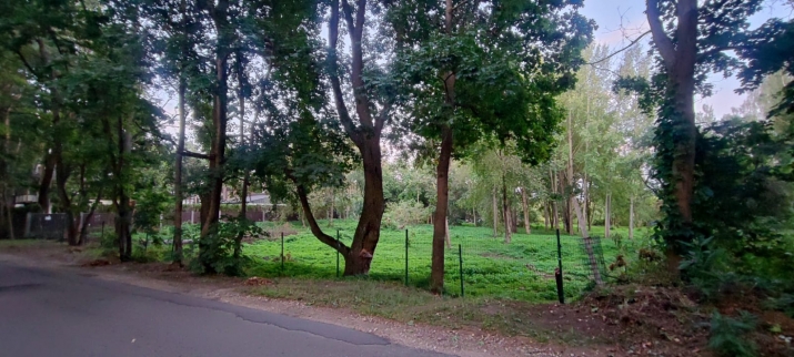 Объявление. Продается земельный участок в Межапарке. Расположенный прямо на проспекте Visbijas, вблизи Цена: 404200 EUR Foto #3