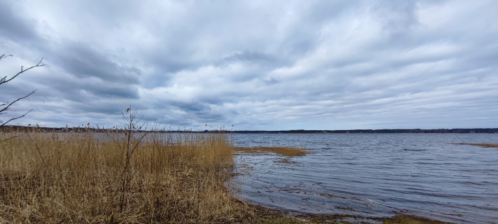 Sludinājumi. Zeme ar skatu uz saulrietu Ezera krastā. Pārdošanā ekskluzīvs zemesgabals  Lielā Baltezera krastā, Cena: 400000 EUR Foto #9