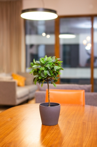 Sludinājumi. Dzīvoklis, kuru Jūs nevēlaties pamest!  Moderns trīsistabu dzīvoklis pārdošana Filozofu Rezidencē.  Cena: 364000 EUR Foto #9