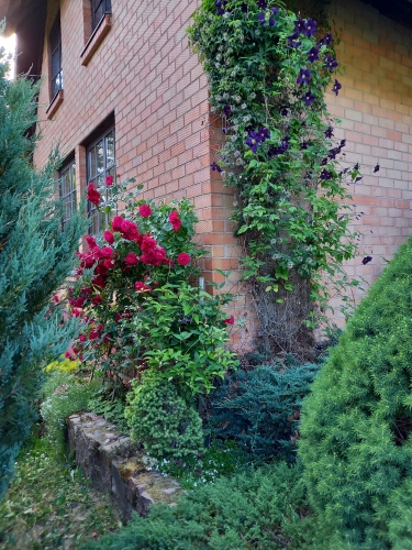 Sludinājumi. Īpašumā ietilpst dzīvojamā ēka 177 m2. Pirmajā stāvā ir koridors, viesistaba ar kamīnu, virtuve, Cena: 228000 EUR Foto #4