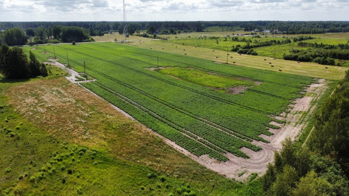 Sludinājumi. Komercapbūves zeme Ķekavā ar kopējo platību 9,1 hektāri!  Īpašums atrodās rūpnieciskās teritorijas Cena: 950000 EUR Foto #7