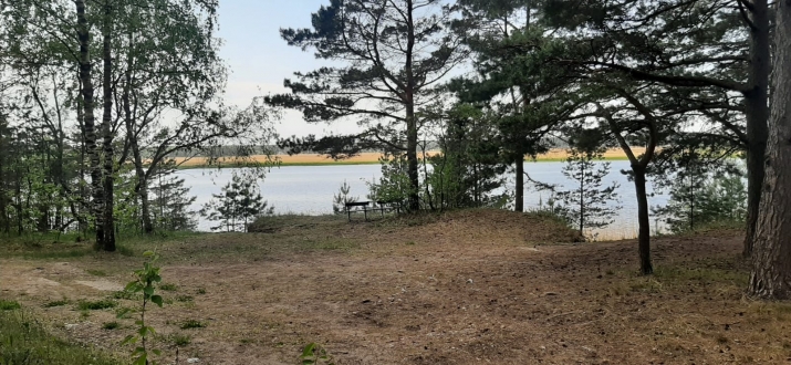 Объявление. Предлагается земельный участок в красивом, тихом месте, окруженном сосновым лесом, на первой линии Цена: 55000 EUR Foto #3