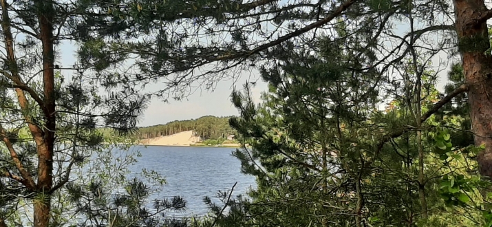 Объявление. Предлагается земельный участок в красивом, тихом месте, окруженном сосновым лесом, на первой линии Цена: 55000 EUR Foto #1