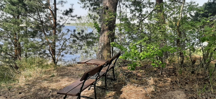 Объявление. Предлагается земельный участок в красивом, тихом месте, окруженном сосновым лесом, на первой линии Цена: 55000 EUR Foto #4