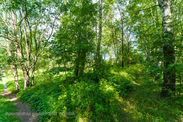 Объявление. Pārdod zemes gabalu Mežaparkā pie Ķīšezera ar kopējo platību 7987 kvadrātmetri. Ir izstrādāts skiču Цена: 410000 EUR Foto #4
