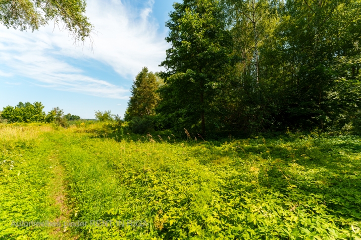 Объявление. Pārdod zemes gabalu Mežaparkā pie Ķīšezera ar kopējo platību 7987 kvadrātmetri. Ir izstrādāts skiču Цена: 410000 EUR Foto #7