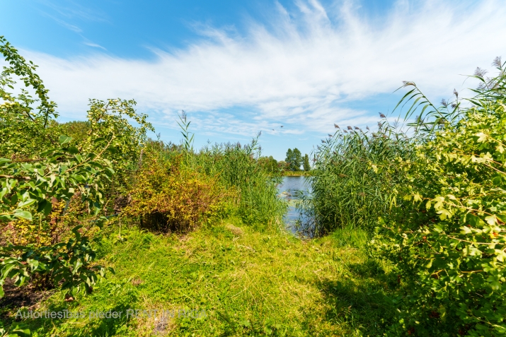 Объявление. Pārdod zemes gabalu Mežaparkā pie Ķīšezera ar kopējo platību 7987 kvadrātmetri. Ir izstrādāts skiču Цена: 410000 EUR Foto #6