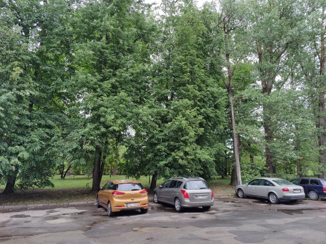 Sludinājumi. Pārdod 4 stāvu biroju ēku ar zemi 0.6350 ha.  Īpašumā ietilpst: (C) Buļļu iela 70a - parks bez Cena: 2.3e+06 EUR Foto #7