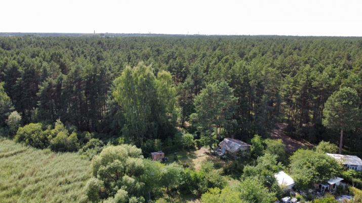 Объявление. Продается земельный участок, 1-я линия у воды. Земельный участок площадью 5510 м2 в Мангалсале, на Цена: 99000 EUR Foto #2