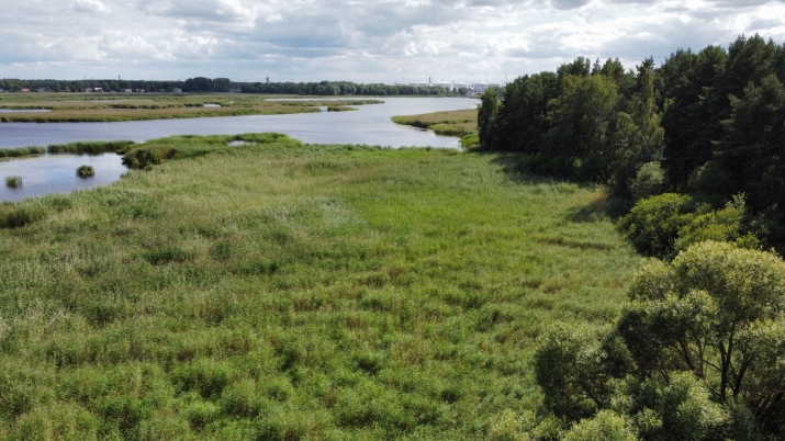 Объявление. Продается земельный участок, 1-я линия у воды. Земельный участок площадью 5510 м2 в Мангалсале, на Цена: 99000 EUR Foto #7