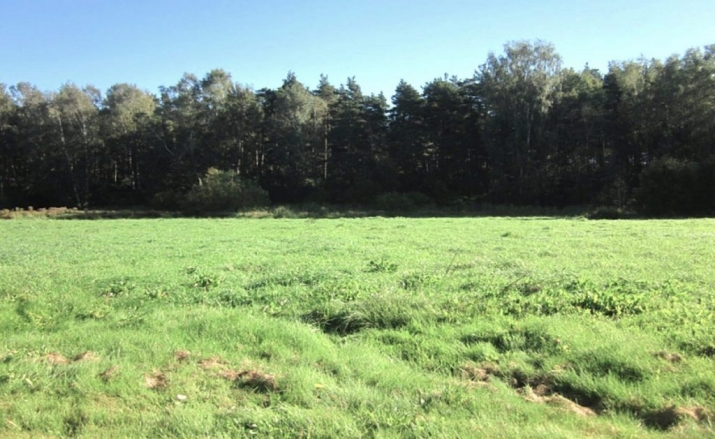 Объявление. Участок земли с детальным планом развития посёлка в Дрейлини на продажу  Площадь: 53700 м Цена: 330000 EUR Foto #6