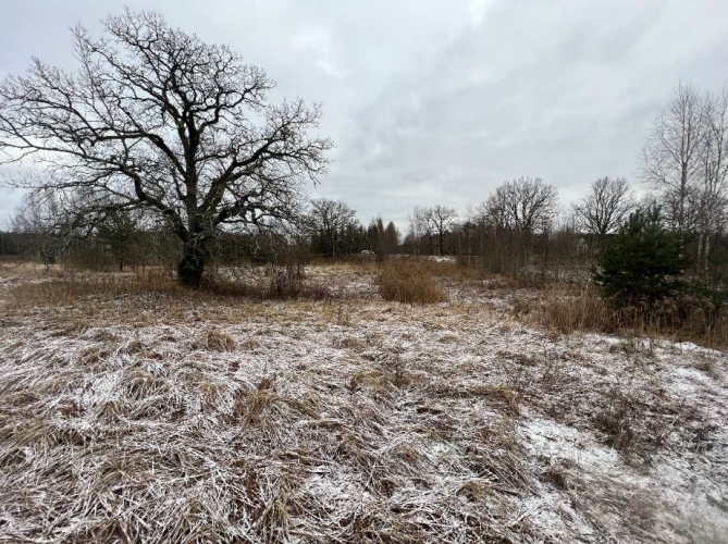 Sludinājumi. Zemes gabals Gaujas upes pirmajā līnijā. (Krasta līnija 800 m)  + Zemes gabals 15 km attālumā no Cena: 85000 EUR Foto #1