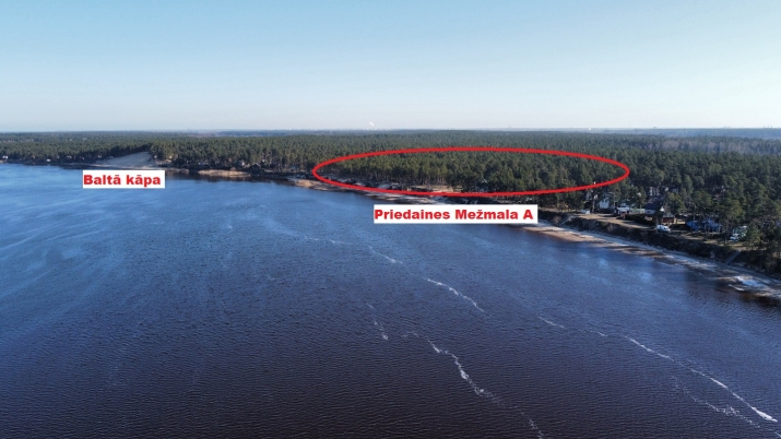 Sludinājumi. Piedāvājumā zemes gabals skaistā, klusā, priežu meža ieskautā vietā,  Lielupes krastā, otrajā Cena: 35000 EUR Foto #3