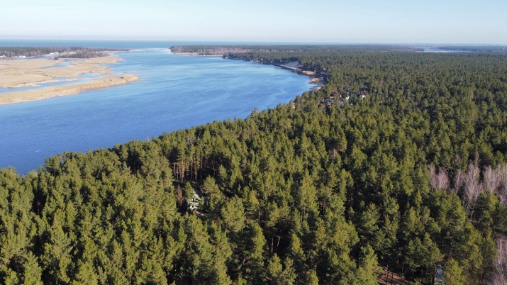 Sludinājumi. Piedāvājumā zemes gabals skaistā, klusā, priežu meža ieskautā vietā,  Lielupes krastā, otrajā Cena: 35000 EUR Foto #8