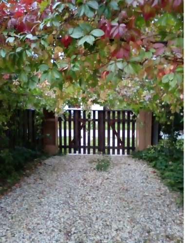 Sludinājumi. Izīrē studio tipa dzīvokli pie jūras!  No 1. augusta tiek izīrēts studio tipa dzīvoklis privātmājā, Cena: 750 EUR/mēn Foto #6