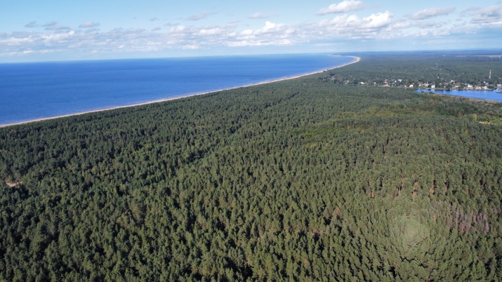 Sludinājumi. Iegādei pieejams plašs zemesgabals, ar kopējo platību 50 392 m2  Mangaļu pussalā.  Lieliska vieta Cena: 298000 EUR Foto #1