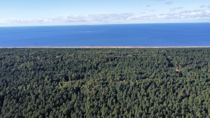 Sludinājumi. Iegādei pieejams plašs zemesgabals, ar kopējo platību 50 392 m2  Mangaļu pussalā.  Lieliska vieta Cena: 298000 EUR Foto #2