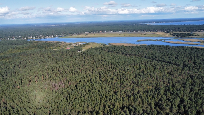 Sludinājumi. Iegādei pieejams plašs zemesgabals, ar kopējo platību 50 392 m2  Mangaļu pussalā.  Lieliska vieta Cena: 298000 EUR Foto #5