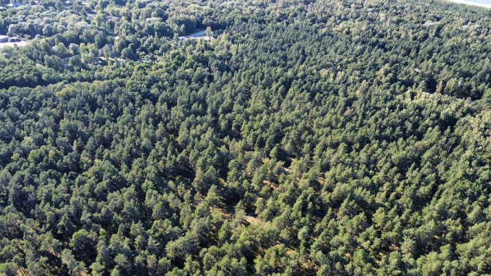 Sludinājumi. Iegādei pieejams plašs zemesgabals, ar kopējo platību 50 392 m2  Mangaļu pussalā.  Lieliska vieta Cena: 298000 EUR Foto #3