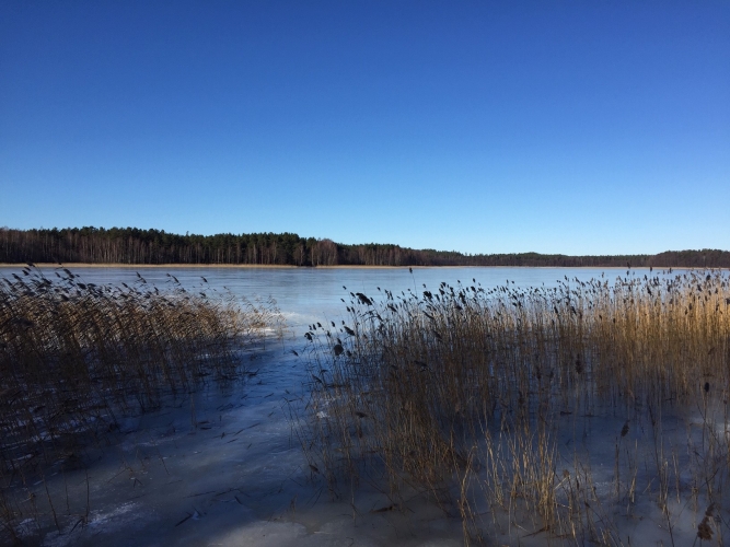 Sludinājumi. Pārdod apbūves gabalu Divezeros ar piekļuvi ezeram.  Savrupmāju dzīvojamās apbūves teritorija. 200 Cena: 39900 EUR Foto #5