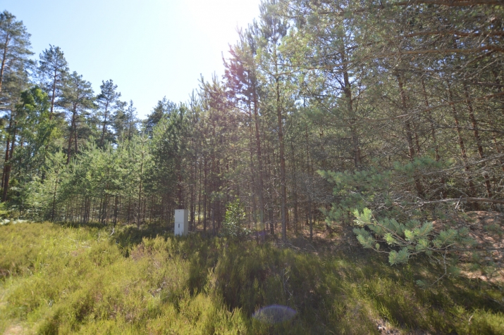 Sludinājumi. Pārdod apbūves gabalu Divezeros ar piekļuvi ezeram.  Savrupmāju dzīvojamās apbūves teritorija. 200 Cena: 39900 EUR Foto #1