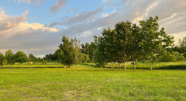 Sludinājumi. Piedāvājumā ekskluzīvs un estētisks īpašums Daugavas krastā!  Zemesgabals ar kopējo platību 1 Cena: 250000 EUR Foto #9