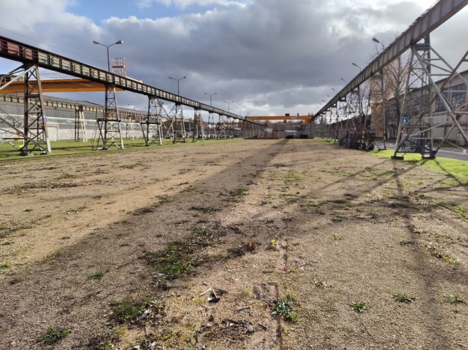 Sludinājumi. Āra laukums apsargātā teritorijā.  Pieejams laukums gan ar grants segumu, gan ar zāles segumu. Cena: 500 EUR/mēn Foto #1