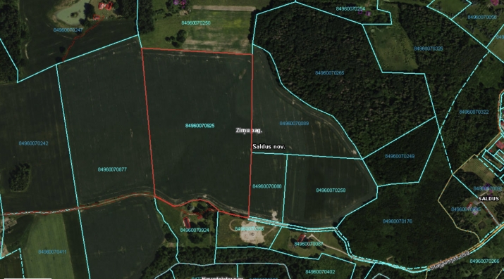 Sludinājumi. Tiek pārdota lauksaimniecības zeme Saldus novada, Zirņu pagastā, \'Liellejas\'.  Zemes lietošanas Cena: 105975 EUR Foto #1