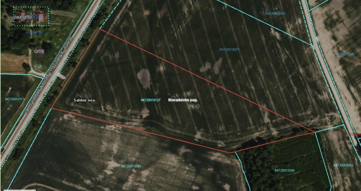 Sludinājumi. Tiek pārdota lauksaimniecības zeme Saldus novada, Novadnieku pagastā Cena: 34178 EUR Foto #1
