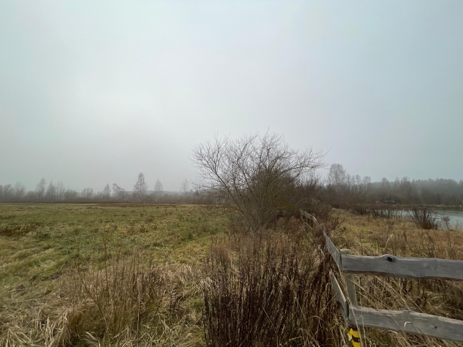 Sludinājumi. Tiek pārdots zemesgabals ar lielu dīķi Brankās.  Zemes pielietojuma veids (Dzs1) - Savrupmāju Cena: 66202 EUR Foto #4