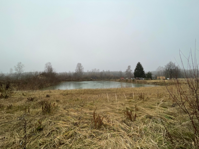Sludinājumi. Tiek pārdots zemesgabals ar lielu dīķi Brankās.  Zemes pielietojuma veids (Dzs1) - Savrupmāju Cena: 66202 EUR Foto #7
