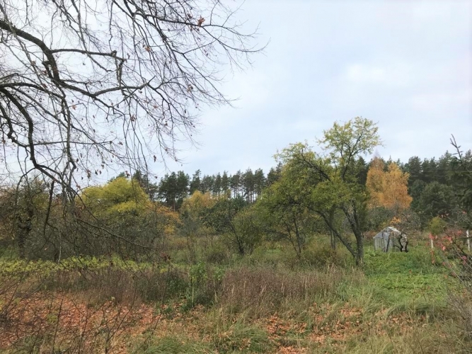 Sludinājumi. Zemes gabals Babītes pagastā.   400 m attālumā no Božu ūdenskrātuves, 2,2 km no Liepājas šosejas. Cena: 115000 EUR Foto #3