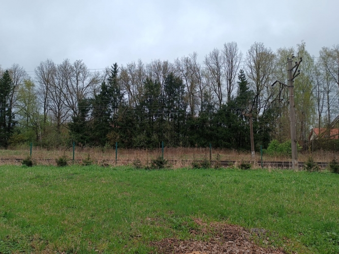 Sludinājumi. Pārdod apbūves zemi Ikšķiles centrā, vēsturiskajā privātmāju rajonā  Dainu ielā.    Zemes gabala Cena: 23000 EUR Foto #4