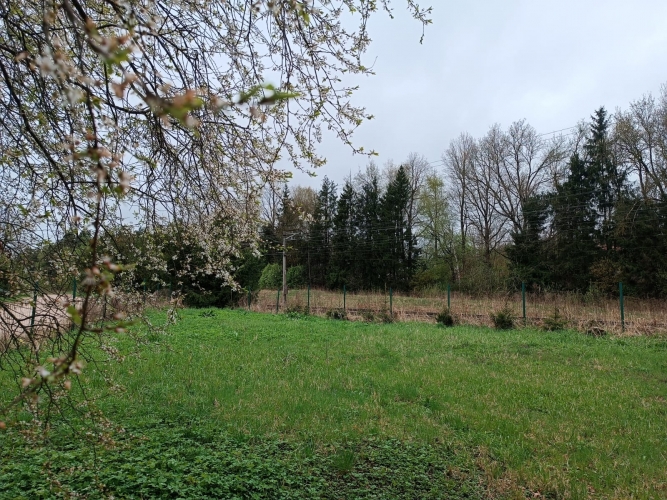 Sludinājumi. Pārdod apbūves zemi Ikšķiles centrā, vēsturiskajā privātmāju rajonā  Dainu ielā.    Zemes gabala Cena: 23000 EUR Foto #5