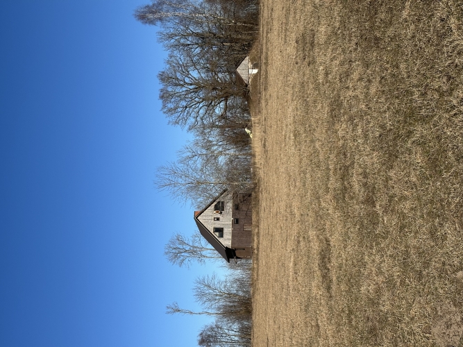 Sludinājumi. Pārdošanā lauku īpašums Talsu novadā  49,89 ha ar dzīvojamo māju, tikai 1 km no Vīdales!  Tiek Cena: 180000 EUR Foto #7