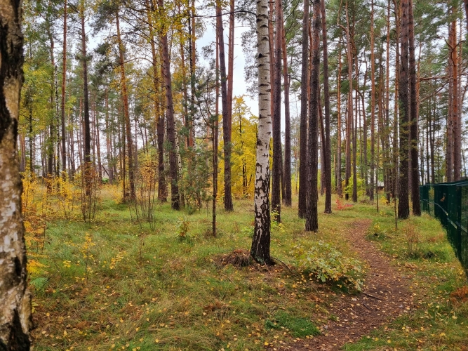 Sludinājumi. Zemesgabals ar apstiprinātu būvatļauju rindu māju projektam  6 pilnībā optimizētas sekcijas  Tiek Cena: 190000 EUR Foto #5