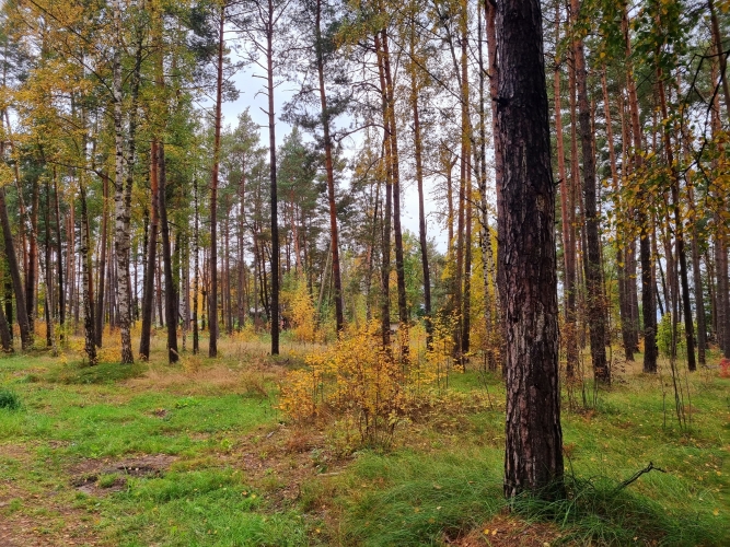 Sludinājumi. Zemesgabals ar apstiprinātu būvatļauju rindu māju projektam  6 pilnībā optimizētas sekcijas  Tiek Cena: 190000 EUR Foto #6