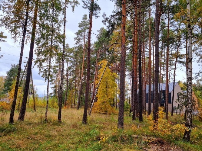 Sludinājumi. Zemesgabals ar apstiprinātu būvatļauju rindu māju projektam  6 pilnībā optimizētas sekcijas  Tiek Cena: 190000 EUR Foto #8