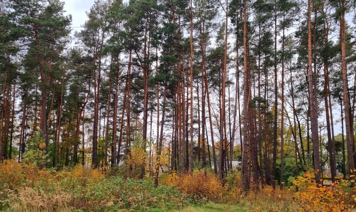 Sludinājumi. Zemesgabals ar apstiprinātu būvatļauju rindu māju projektam  6 pilnībā optimizētas sekcijas  Tiek Cena: 190000 EUR Foto #9