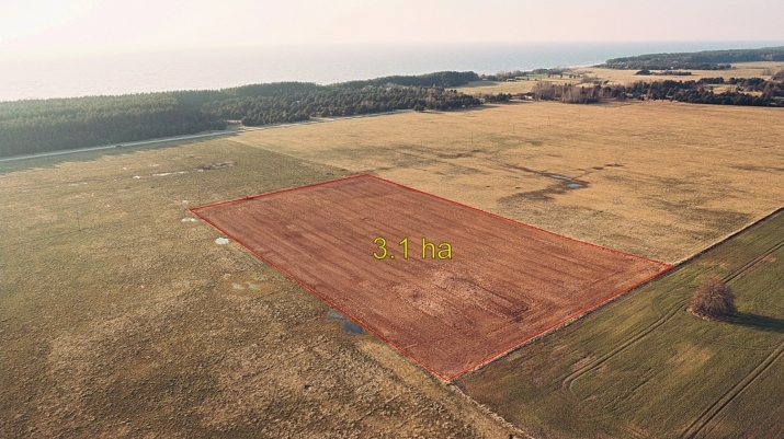 Sludinājumi. Pārdod lauksaimniecības zemi Ziemeļblāzmas, Užavas pagastā., Ventspils novadā.  Zemes vienības Cena: 36000 EUR Foto #1